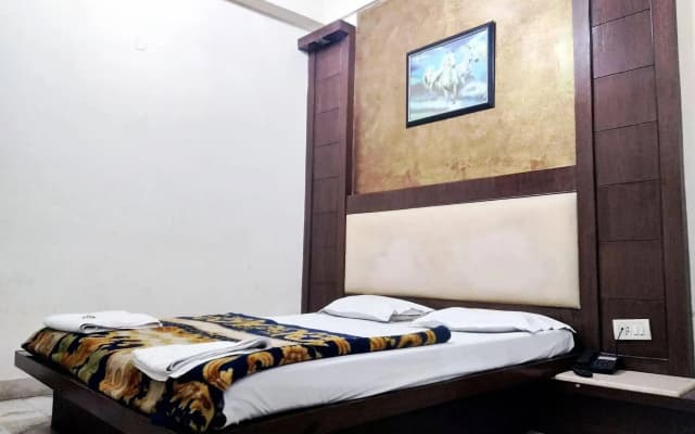 Hotel Maanvi - photo 5