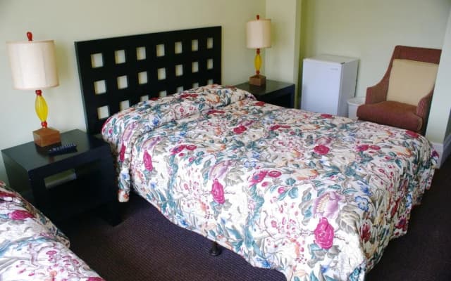 Dakota Hostel and Hotel - photo 4