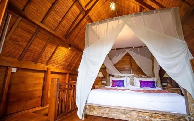The Jungle Villa - photo 4