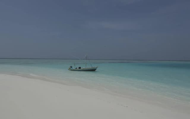 Ungoofaaru Inn - photo 3