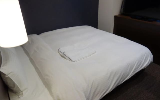 Hotel Vertex Osaka - photo 3