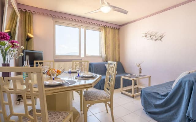 Apartment Plein Soleil - photo 3