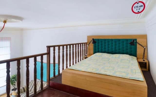 Smoking Dog's Apartment - photo 2
