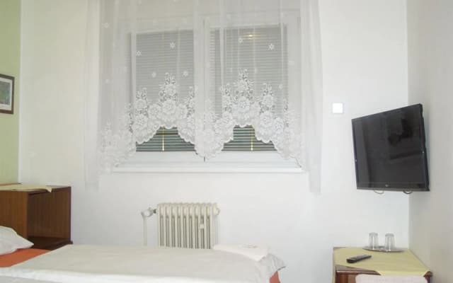 Pension Sparta - photo 5