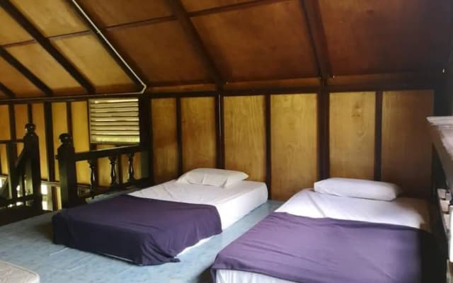 D'Coconut Island Resort - photo 5