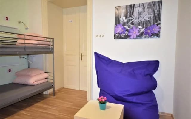 Travel & Joy Hostel - photo 4
