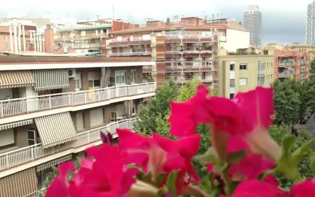 Freemove Sardenya - photo 5