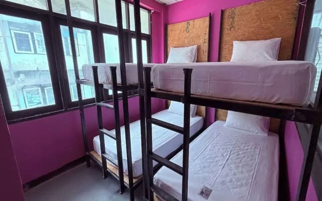 Pink Kraken Hostel - photo 3