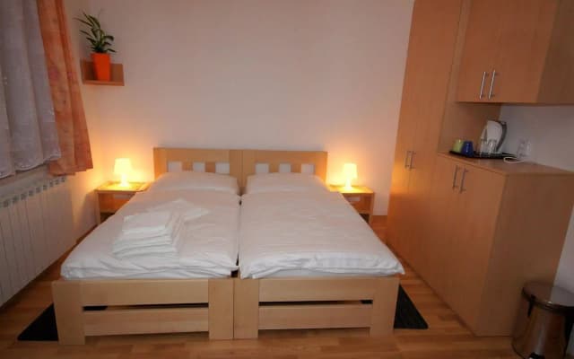 Hotel Garni Rambousek - photo 5