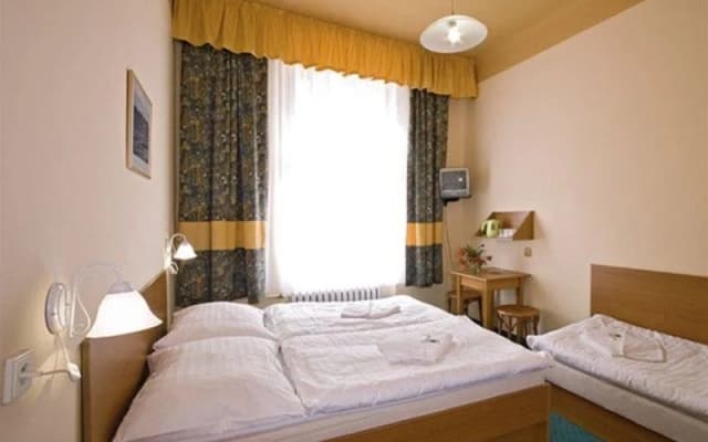 Sofia - photo 3