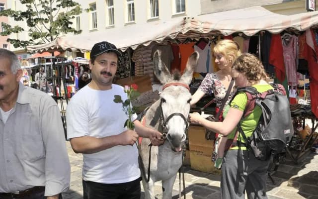 Yppartment - photo 5
