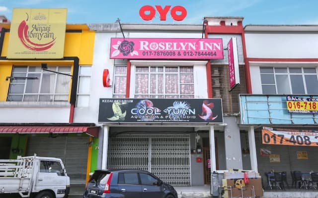 Roselyn Inn by OYO Rooms - photo 5