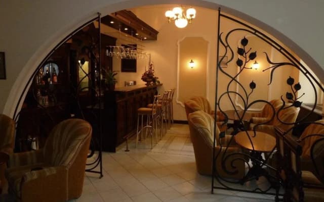 Vysehrad Hotel - photo 2