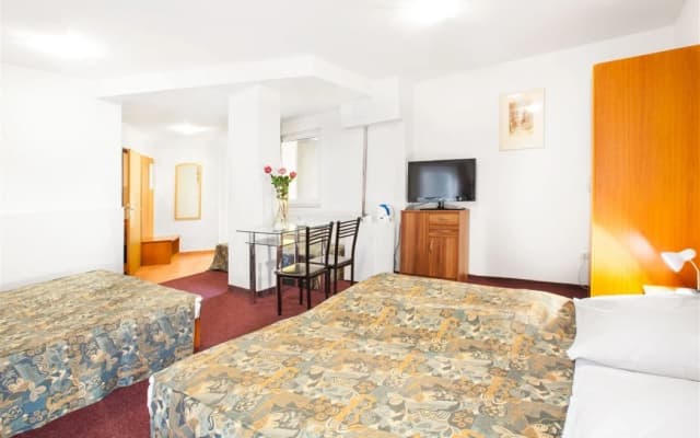 Apartment House Zizkov - photo 4