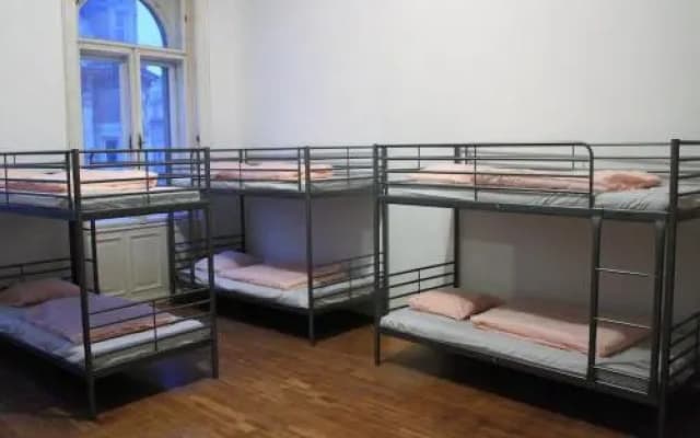 Black Dog Hostel - photo 4