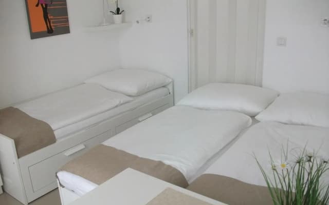 CH-Vienna City RoomsPenthouse Terrassenapartment - photo 2