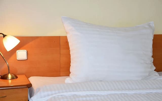 Albionette Hotel - photo 5