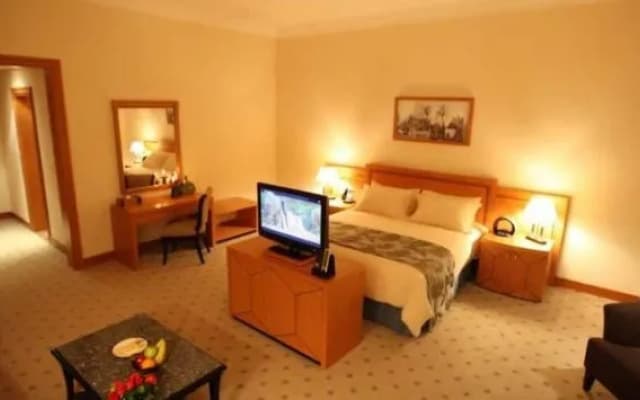 Wiseman Grand Hotel - photo 2