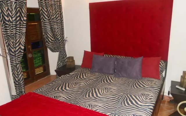 Riad du Petit Prince - photo 5