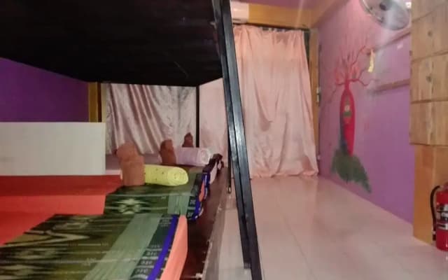 Maddy’s Hostel - photo 3