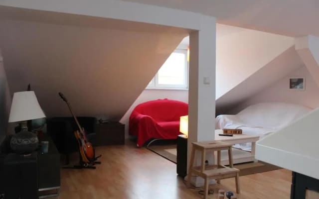 Rooftop Loft Berlin Mitte and Bikes - photo 5