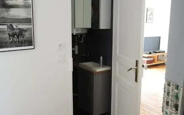 2 Pieces Avec Balcon Plein Sud - photo 5