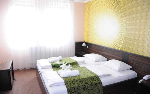 Green Hotel Budapest - photo 4