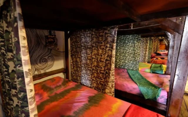 Peacock Hostel - photo 3