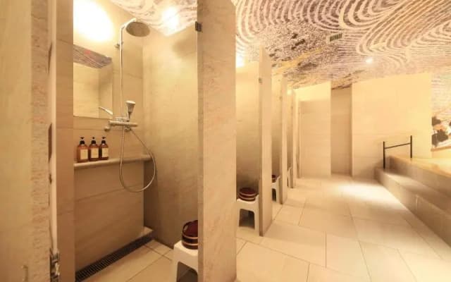 Centurion Hotel Ueno Ekimae - photo 3