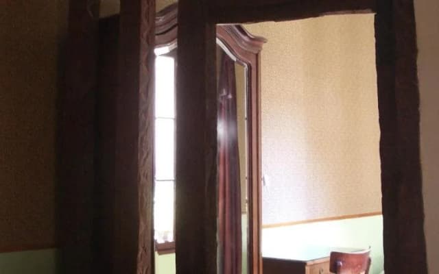 Stella - photo 4