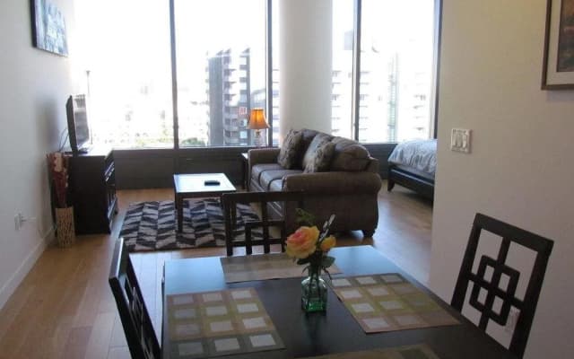 Luxury Place in Downtown - photo 4