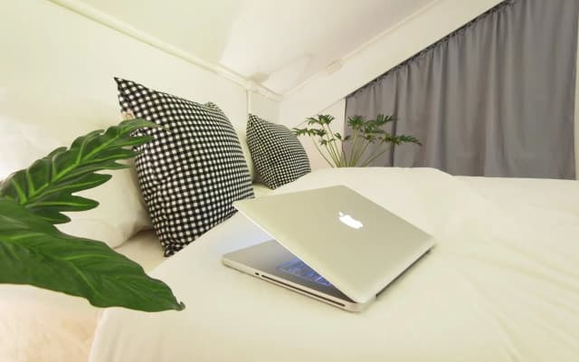 Squirrel Hostel - photo 3