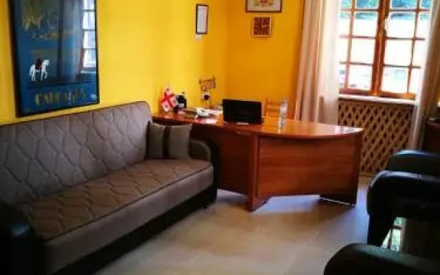 Hotel Salo - photo 2