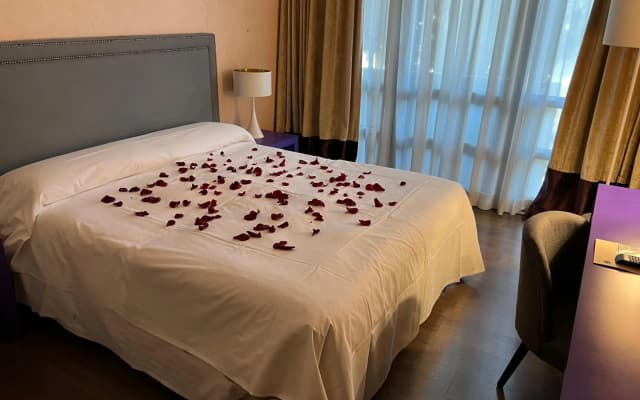 Fenix Hotel - photo 5