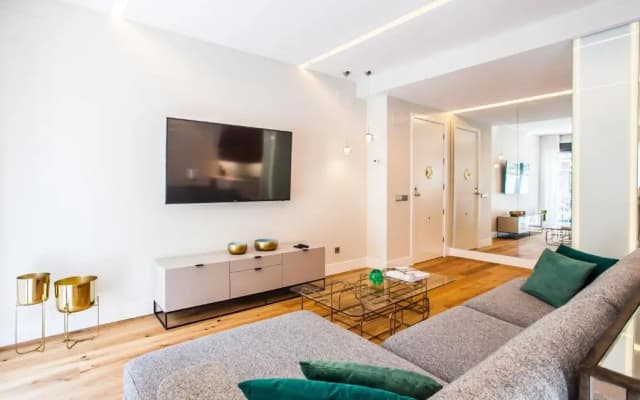 Luxury Apartment Salamanca District - photo 2