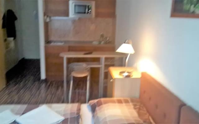 Victor Apartment Hotel - photo 4