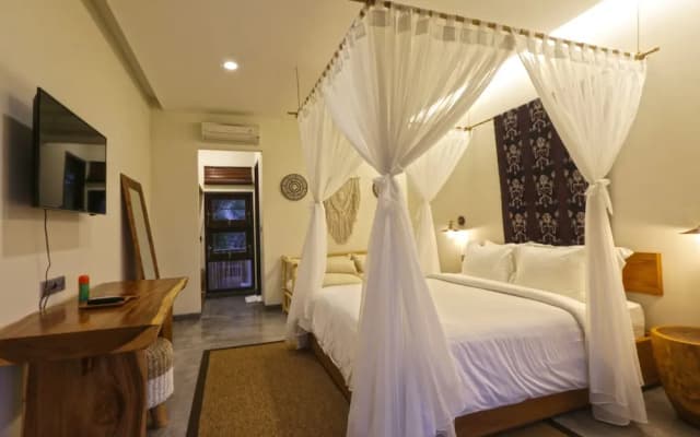 Elite Cassia - photo 4