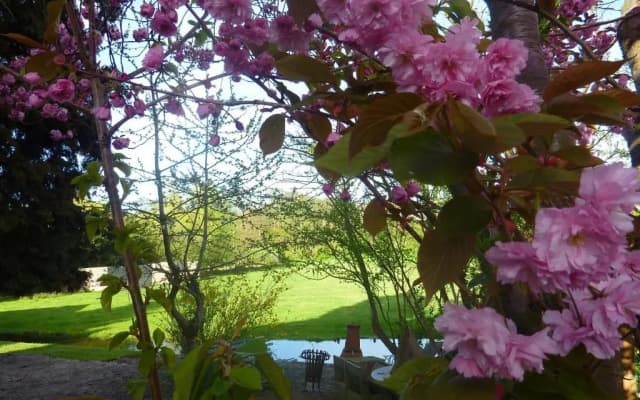 B&B BLoom - photo 3