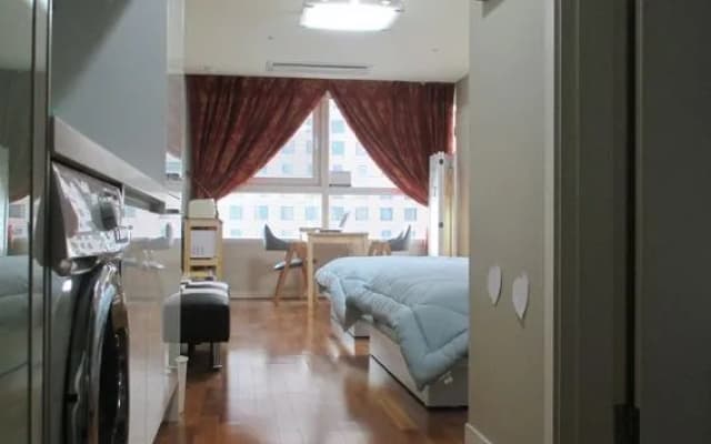 Gwanghwamun Luxury Studio Condo - photo 2