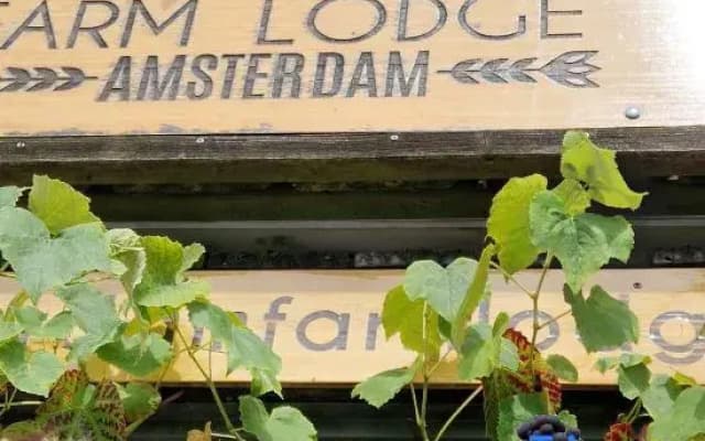 Amsterdam Farm Lodge - photo 2
