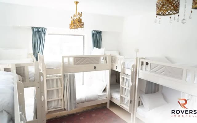 Rovers Beach Hostel JBR - photo 2