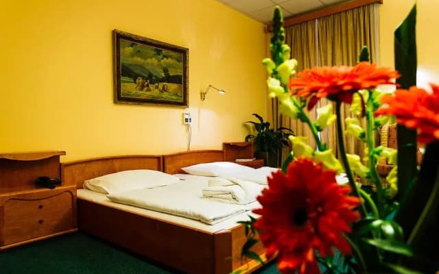 Wellness & Treatment Hotel Ghc - photo 4