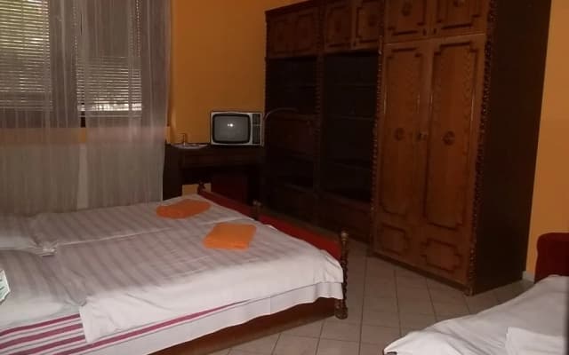 Hotel Palota - photo 4