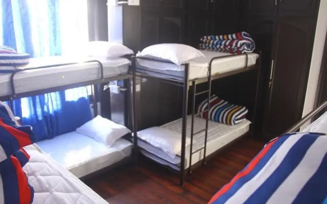 Madpackers Delhi - Hostel - photo 5