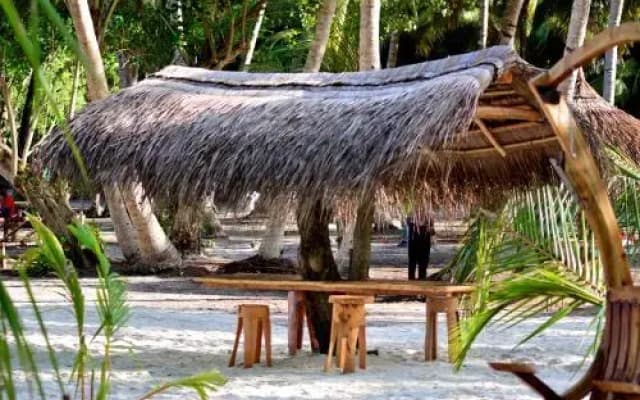 Orchid Inn - photo 4