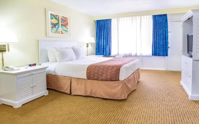 APM Inn & Suites - photo 3