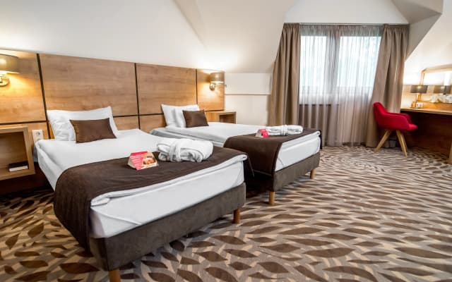 Rubin Wellness & Conference Hotel - photo 4
