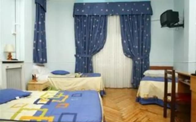 Hostal Alcazar Regis - photo 3