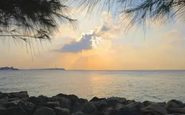 The Varu Inn - photo 2
