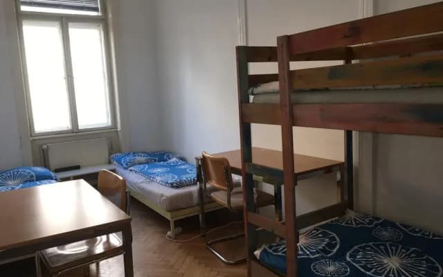 Chichilli Tea Hostel Vienna - photo 4